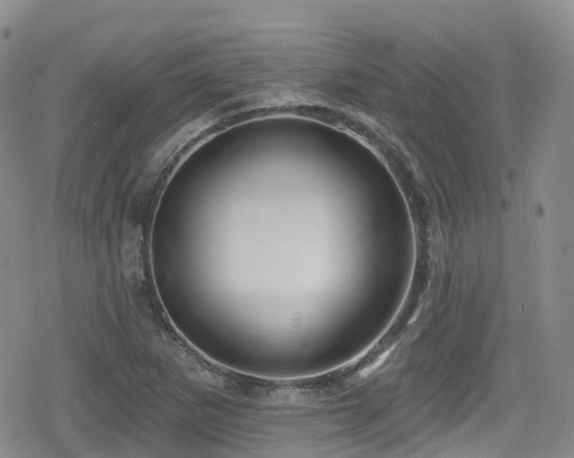 X0000080201265200612081418