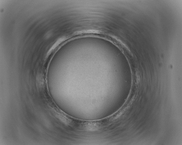 X0000080201266200612081418