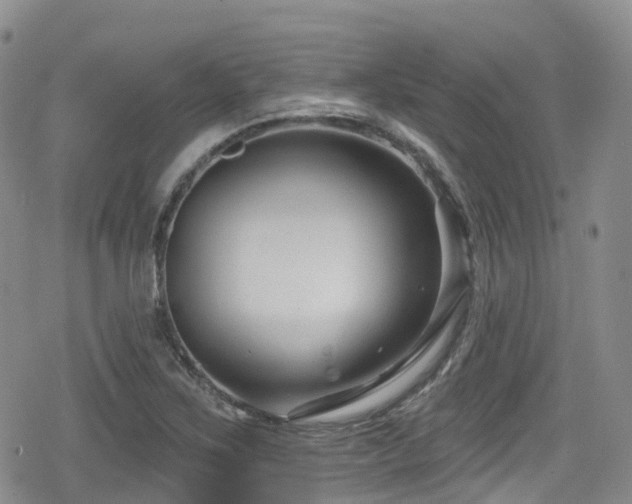 X0000080201267200612081418