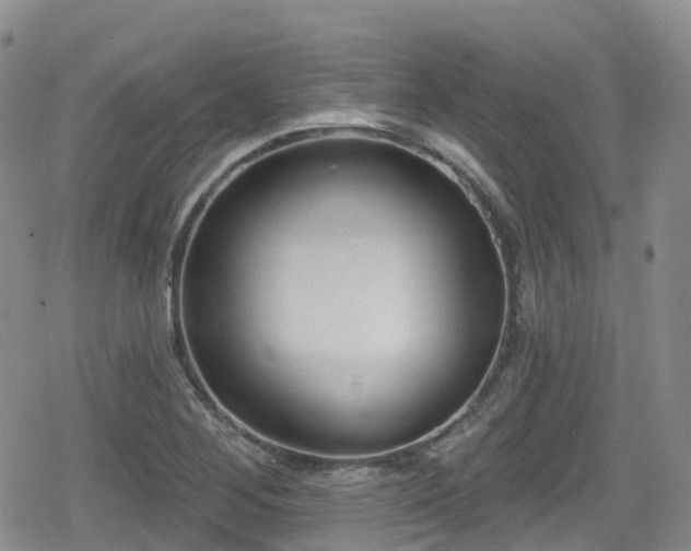 X0000080201268200612081418