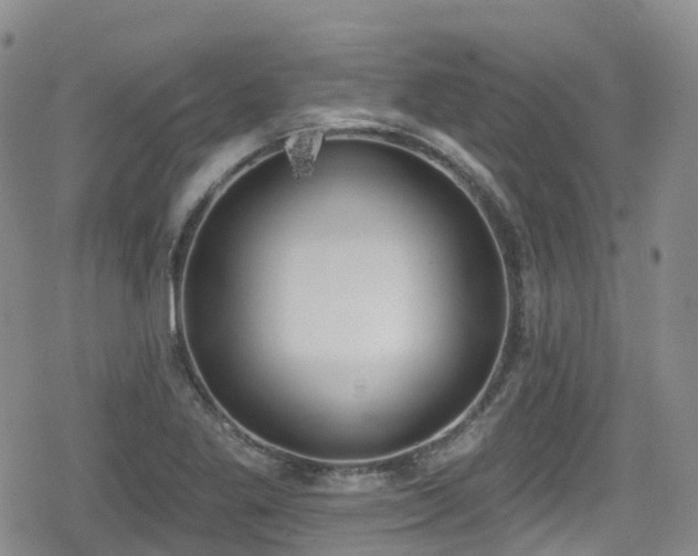 X0000080201269200612081418