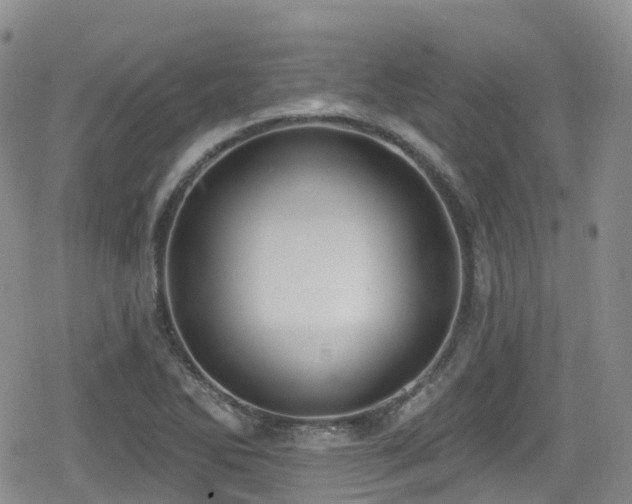 X0000080201270200612081418