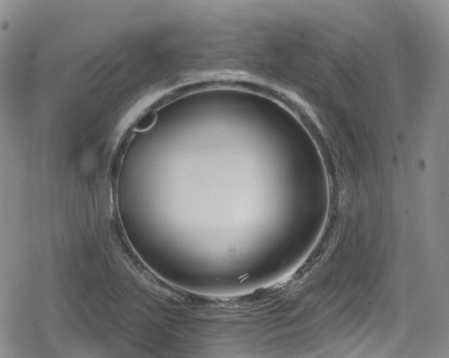 X0000080201271200612081418