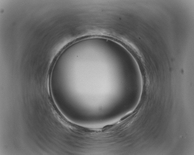 X0000080201272200612081418