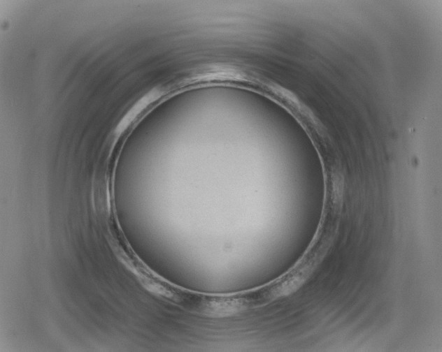 X0000080201274200612081418