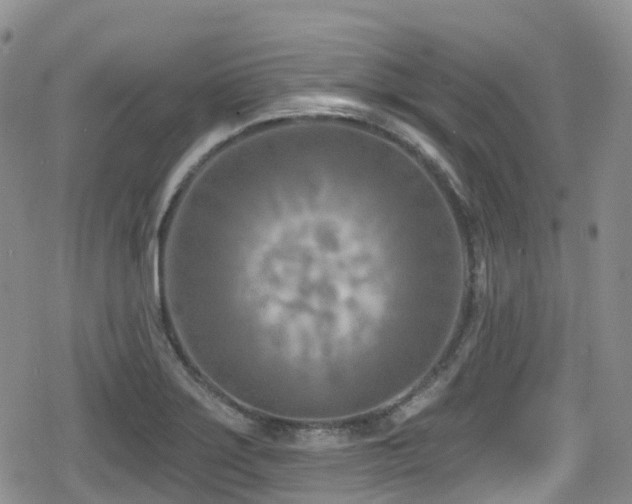 X0000080201275200612081418