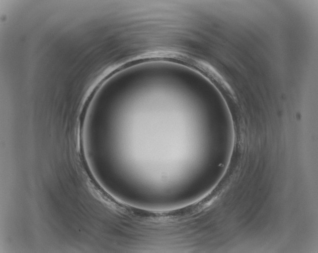 X0000080201276200612081418