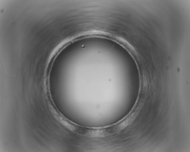 X0000080201278200612081418