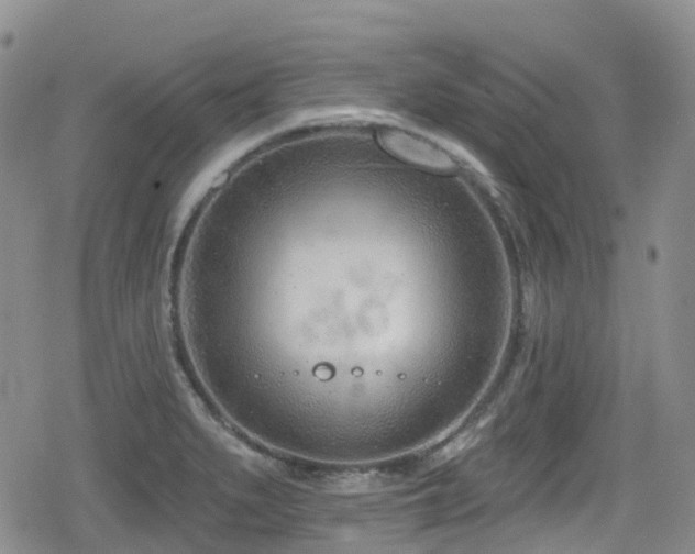 X0000080201279200612081418