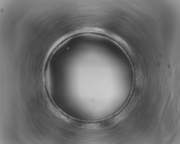 X0000080201280200612081418