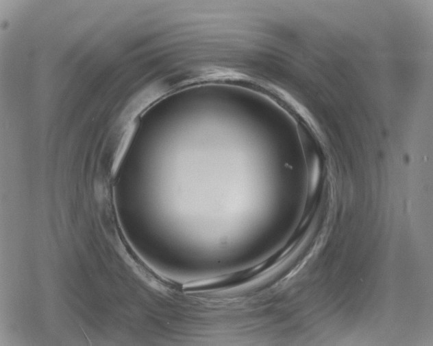 X0000080201281200612081418