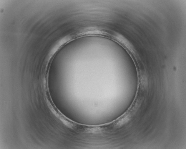 X0000080201282200612081418