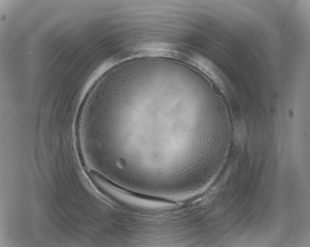 X0000080201283200612081418