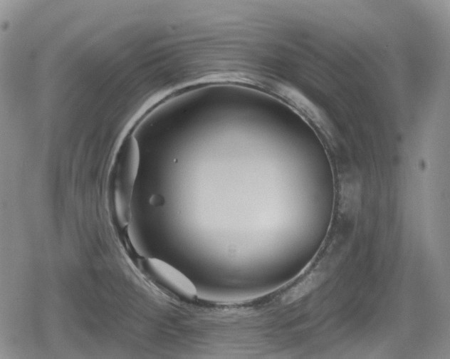 X0000080201284200612081418