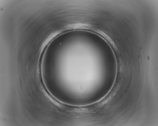 X0000080201285200612081418