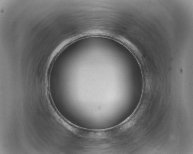 X0000080201286200612081418