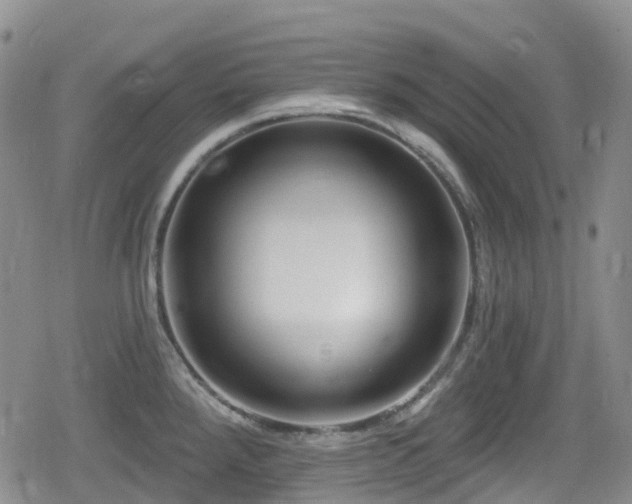 X0000080201288200612081418