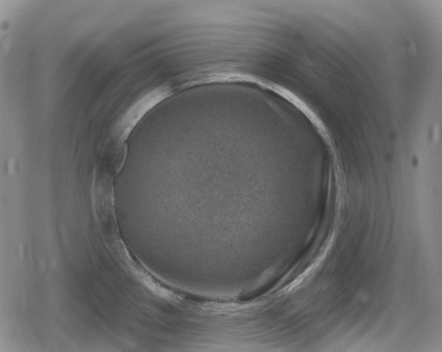 X0000080201289200612081418