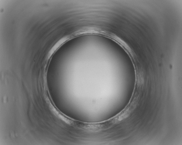 X0000080201290200612081418