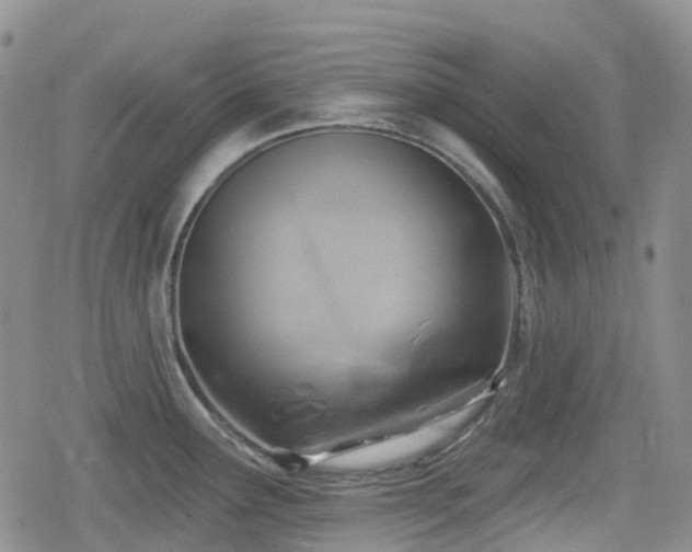 X0000080201291200612081418