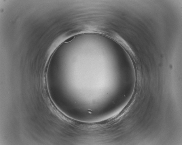 X0000080201292200612081418