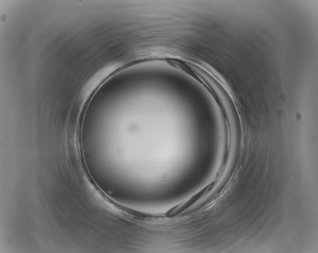 X0000080201293200612081418