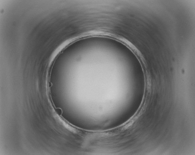 X0000080201294200612081418