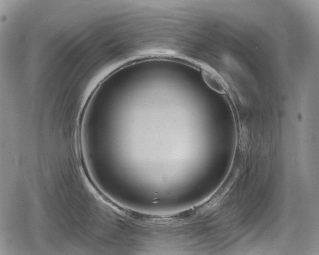 X0000080201295200612081418