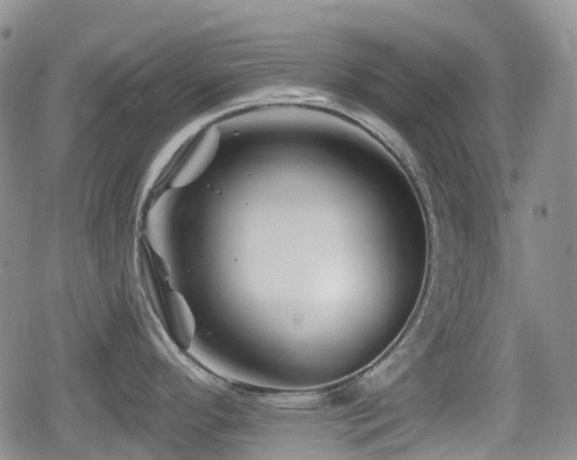 X0000080201296200612081418