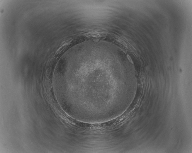 X0000080201297200612081417