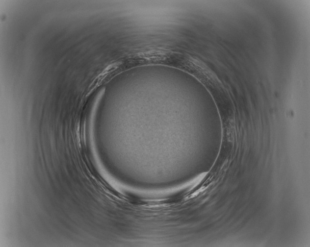 X0000080201298200612081417