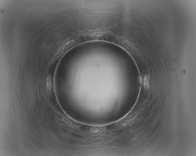 X0000080201299200612081417