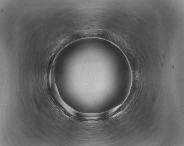 X0000080201300200612081417