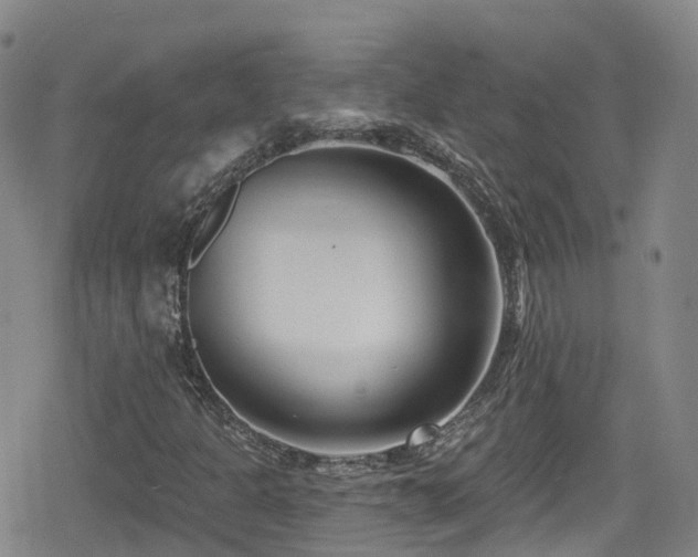 X0000080201301200612081417