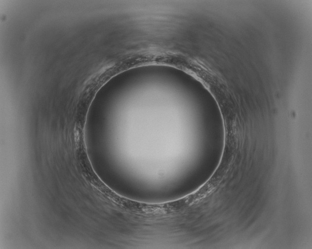 X0000080201302200612081417