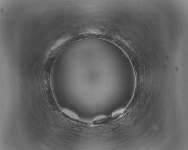 X0000080201303200612081417