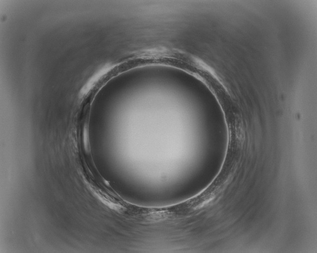 X0000080201304200612081417