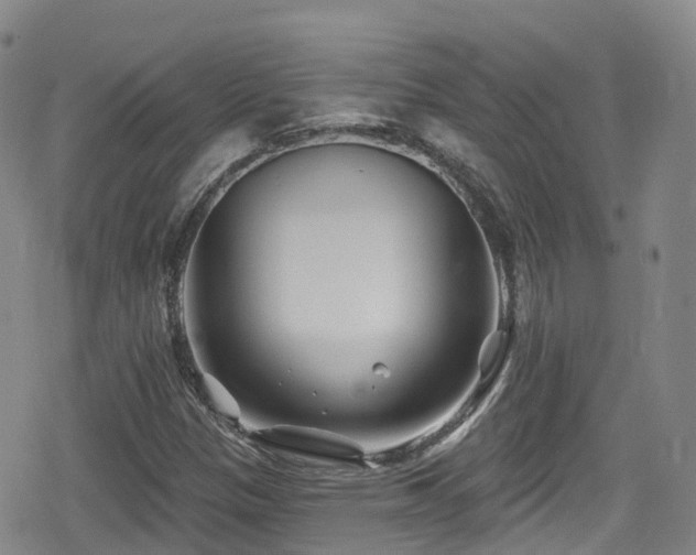 X0000080201305200612081417