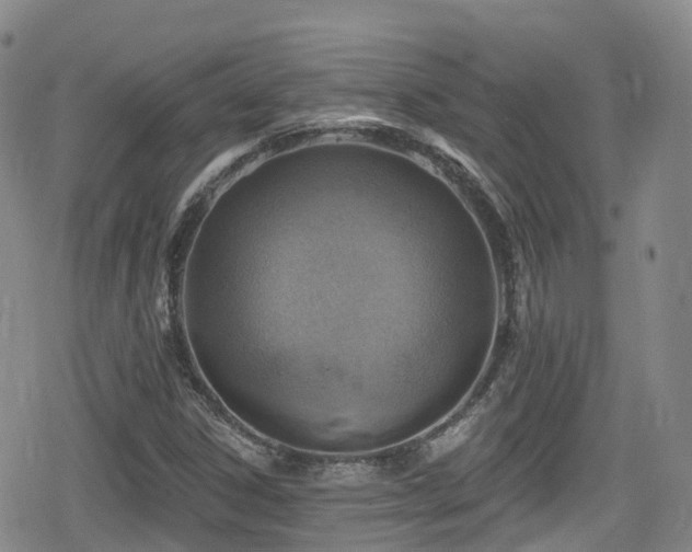 X0000080201306200612081417