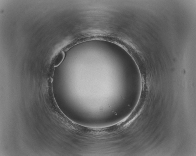 X0000080201309200612081417