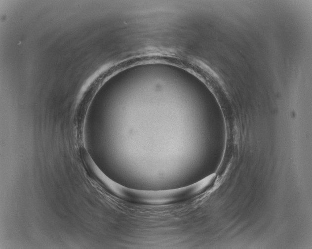 X0000080201310200612081417