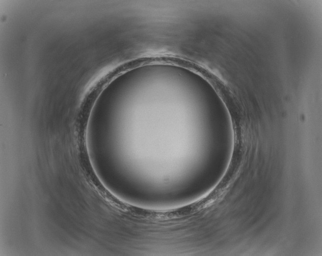 X0000080201311200612081417