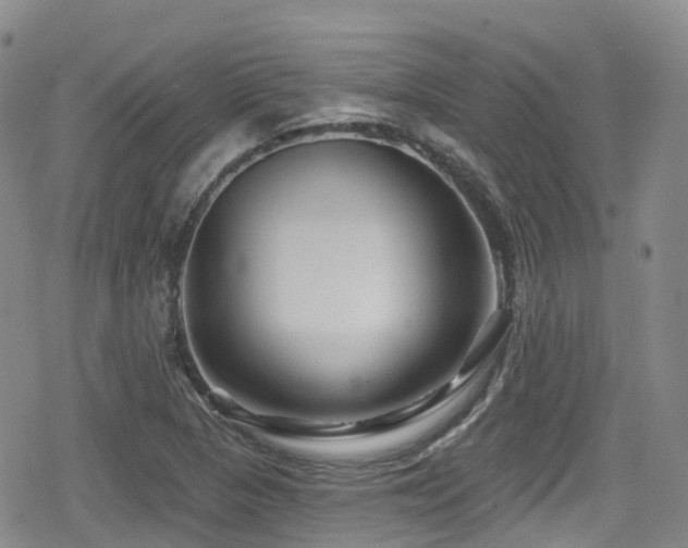 X0000080201313200612081417