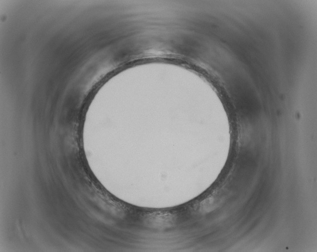 X0000080201314200612081417