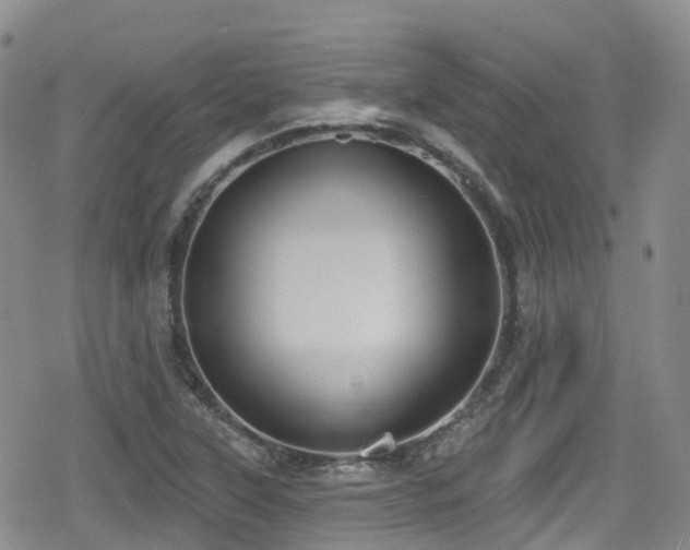 X0000080201315200612081417