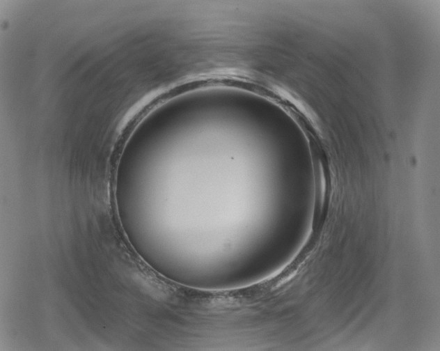 X0000080201316200612081417