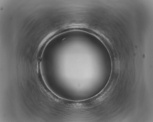 X0000080201317200612081417