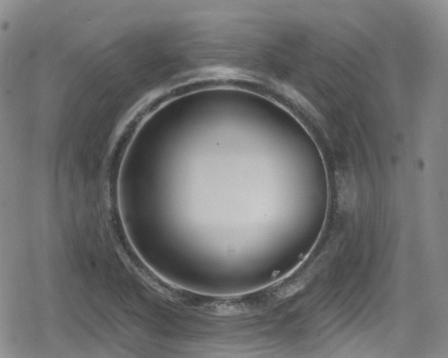 X0000080201318200612081417