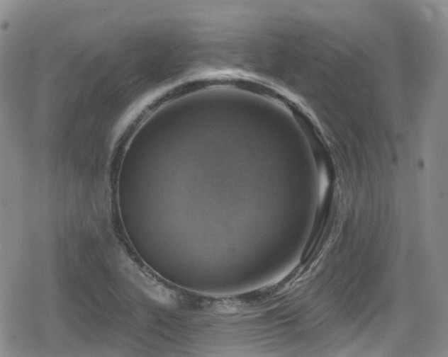 X0000080201319200612081417