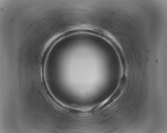 X0000080201320200612081417